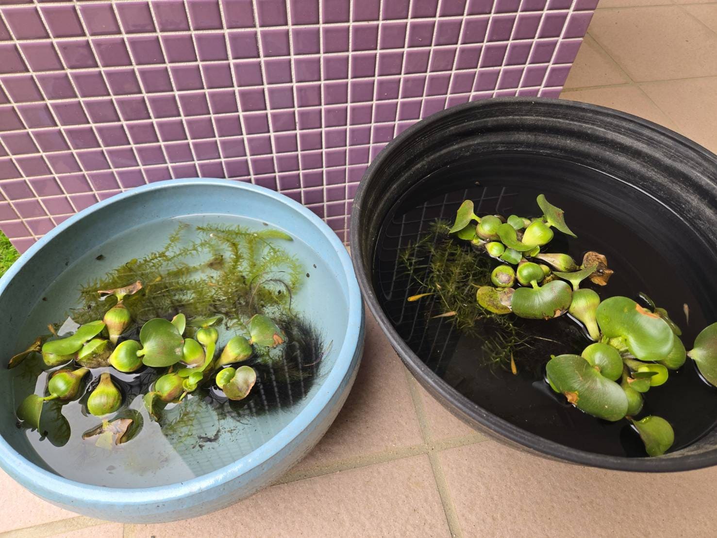 情操教育